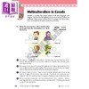 【中商原版】加拿大课程练习册 全科加强版6年级 数学英语科学 英文原版 Popular Complete Canadian Curriculum Grade 6 商品缩略图4