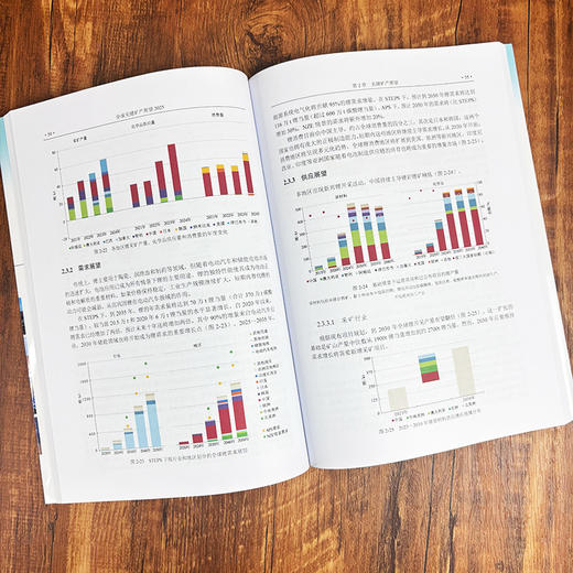 全球关键矿产展望2025 赵相宽 徐佳佳 王欢主 9787030840288 商品图4