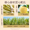 老金磨方竹蔗茅根雪梨茶甘蔗马蹄茶凉茶水果茶上火养生茶 商品缩略图3