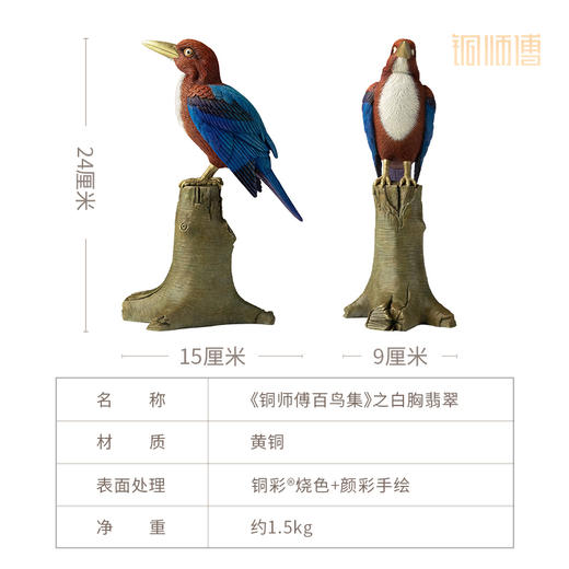 铜师傅 铜摆件《铜师傅百鸟集》之白胸翡翠 铜工艺品 家居饰品摆件 商品图5
