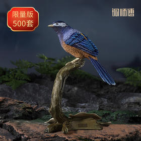 铜师傅《铜师傅百鸟集》之白耳奇鹛 客厅桌面铜鸟摆件 装饰品