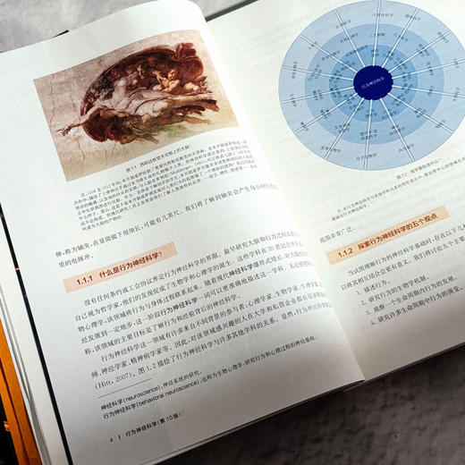 行为神经科学 第10版 马克.布里德洛夫 尼尔·沃森 人类科学研究 商品图8