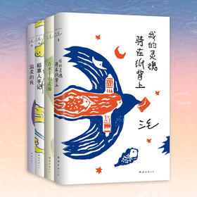 《三毛经典作品集》（典藏版4册）| 收录其一生见闻 看见一个温暖、善意、真实的三毛