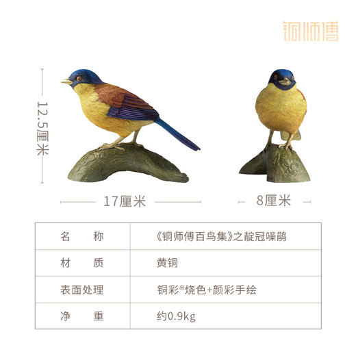 铜师傅 铜摆件 《铜师傅百鸟集》之靛冠噪鹛 商品图5