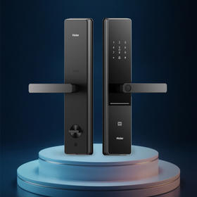海尔（Haier）智能门锁 L300