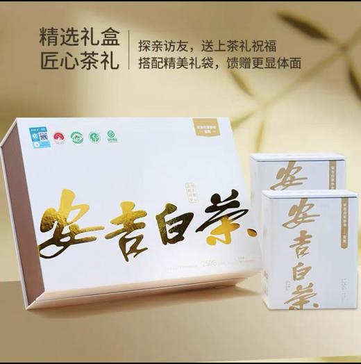 安吉白茶玉竹特级礼盒250g；25年茶原价498特价298！！！ 商品图0