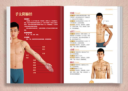 百病取穴速查图册（真人彩图版）（第2版） 商品图3