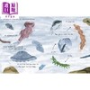 【中商原版】我们所知的生命 Life (As We Know It) 英文原版 儿童科普绘本 图画书 进口童书 精装 商品缩略图4