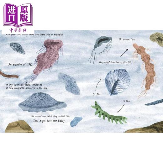 【中商原版】我们所知的生命 Life (As We Know It) 英文原版 儿童科普绘本 图画书 进口童书 精装 商品图4