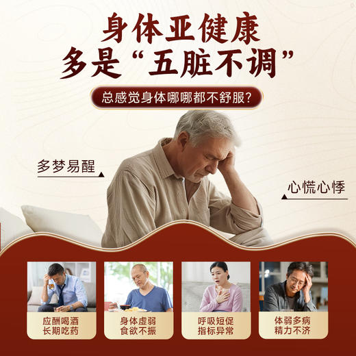 Vinsic灵芝孢子油60粒 商品图1