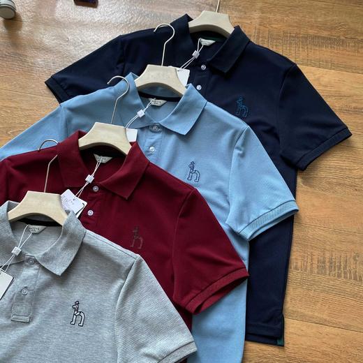 哈吉斯夏季凉感男士商务休闲翻领POLO衫 商品图5