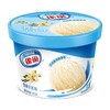 雀巢家装冰淇淋香草味255g 商品缩略图0