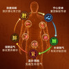 Vinsic灵芝孢子油60粒 商品缩略图3