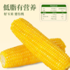 有机黄糯玉米 东北寒地黑土 有机认证 配料干净 软糯绵密 健康非转基因 商品缩略图4