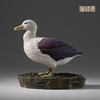 铜师傅 铜摆件《铜师傅百鸟集》之短尾信天翁 铜工艺品 家居饰品摆件 商品缩略图3