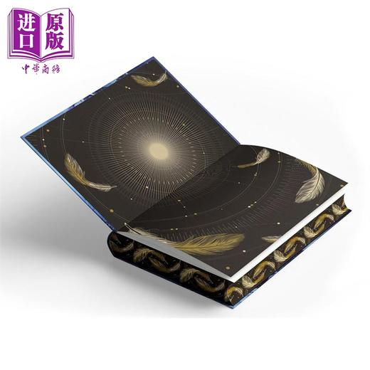预售 【中商原版】白曜 限量特装版 英文原版 White Lights Limited Deluxe Edition Lauren Kate 商品图1
