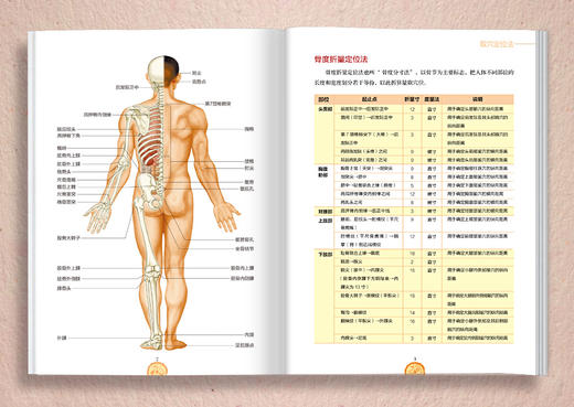 百病取穴速查图册（真人彩图版）（第2版） 商品图2