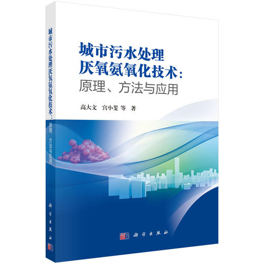 城市污水处理厌氧氨氧化技术：原理、方法与应用 商品图0