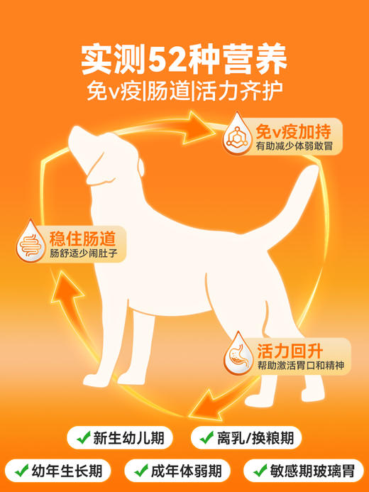 普安特羊初乳膏猫咪狗狗脆皮期专用免疫球蛋白lgG增强体质宠壮壮 商品图5