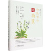 中外古今话菊苣(植物与人类) 商品缩略图0