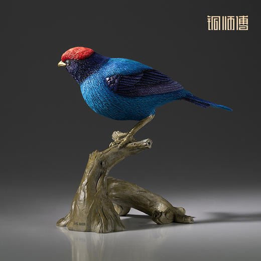 铜师傅 铜摆件《铜师傅百鸟集》之燕尾娇鹟 铜工艺品 家居饰品摆件 商品图3