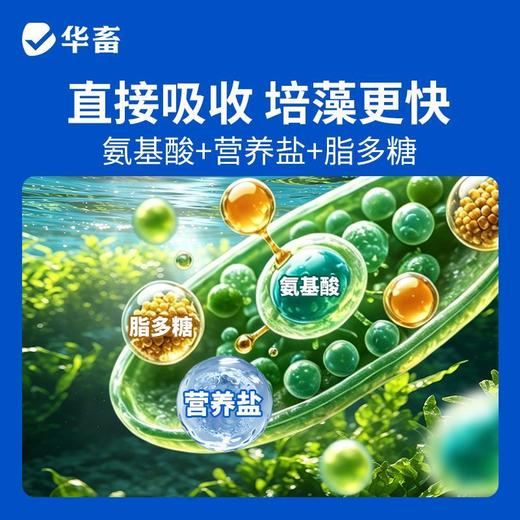 华畜藻类培养基小球藻专用培养基鱼塘水库水产养殖肥水调水培藻 商品图2