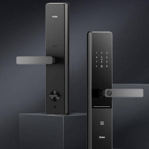 海尔（Haier）智能门锁 L300 商品图4