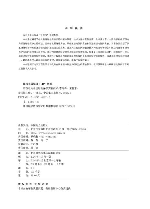 新型电力系统继电保护实验技术 商品图3