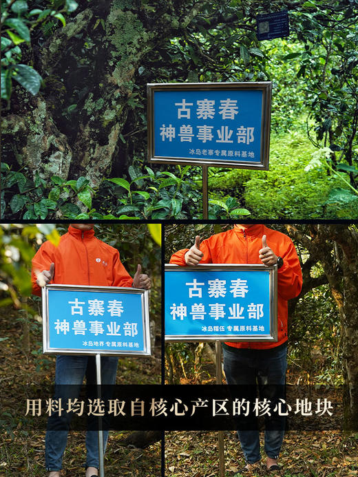 4月29日中午12点【神兽—白虎】2026年春茶超越纯料冰岛老寨的存在，神兽事业部独立出品高奢品牌，首发结束即封藏，限量50箱 拍5箱发6箱 商品图2