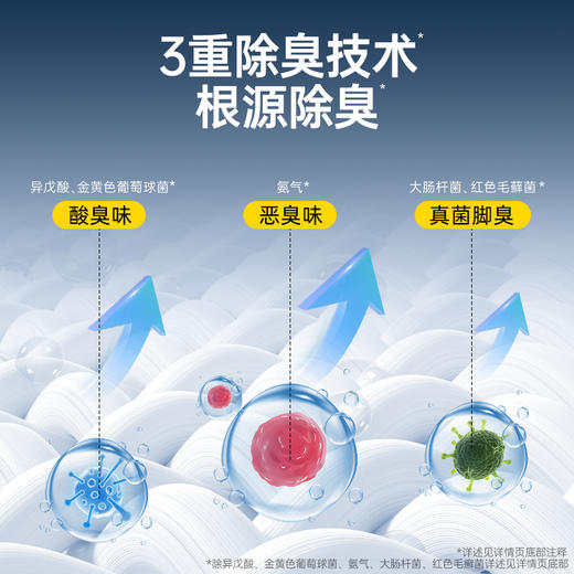 【超值3瓶装】净狮 鞋袜除臭喷雾 杀菌净味 清香淡雅 248ml*3瓶 商品图2