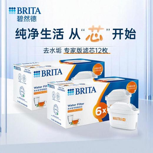 碧然德１２只滤芯（特惠组合） 商品图0
