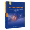 男性不育症显微外科图谱 洪锴 田龙 主译 北医社 商品缩略图0