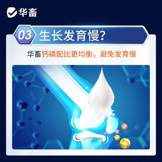 【整吨更优惠】华畜5%产蛋期预混料蛋鸡饲料 营养成分高于美国和中国双重标准 增加产蛋数量 增加产蛋周期 商品图3