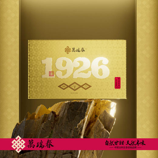 懂茶帝-锦屏万瑞春1926古树白茶250g 商品图2