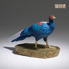 铜师傅 铜摆件《铜师傅百鸟集》之蓝鹇 铜工艺品 家居饰品摆件 商品缩略图1
