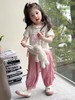 童洛萌女童夏季套装甜美花边领短袖长裤夏装小女孩网红两件套90-150 商品缩略图1