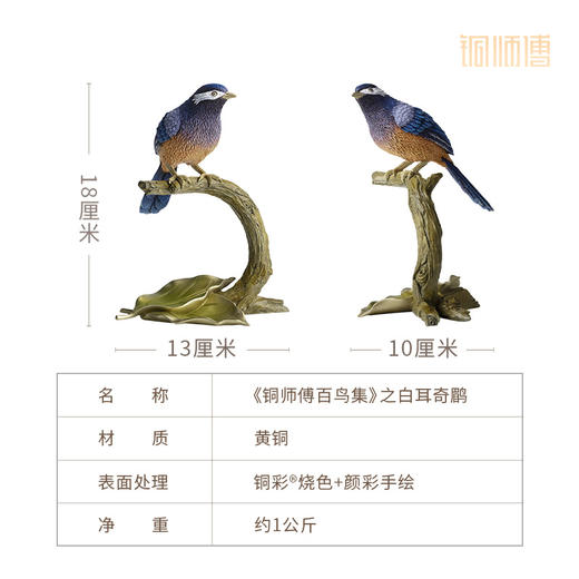 铜师傅《铜师傅百鸟集》之白耳奇鹛 客厅桌面铜鸟摆件 装饰品 商品图5
