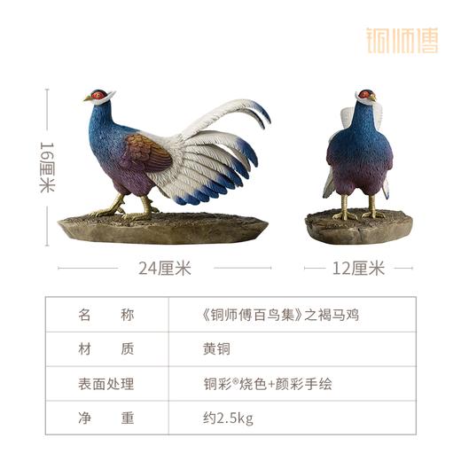 铜师傅 铜摆件 《铜师傅百鸟集》之褐马鸡 商品图4