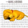 哇啊啊啊啊啊啊啊啊速度是多少 商品缩略图0