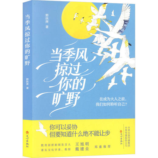 当季风掠过你的旷野 商品图0