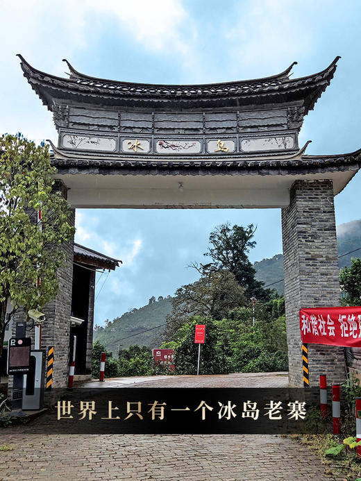 4月29日中午12点【神兽—白虎】2026年春茶超越纯料冰岛老寨的存在，神兽事业部独立出品高奢品牌，首发结束即封藏，限量50箱 拍5箱发6箱 商品图1
