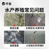 华畜藻类培养基小球藻专用培养基鱼塘水库水产养殖肥水调水培藻 商品缩略图1