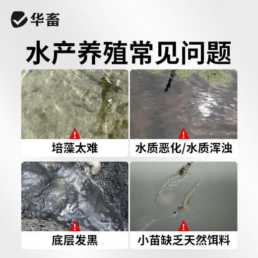 华畜藻类培养基小球藻专用培养基鱼塘水库水产养殖肥水调水培藻 商品图1