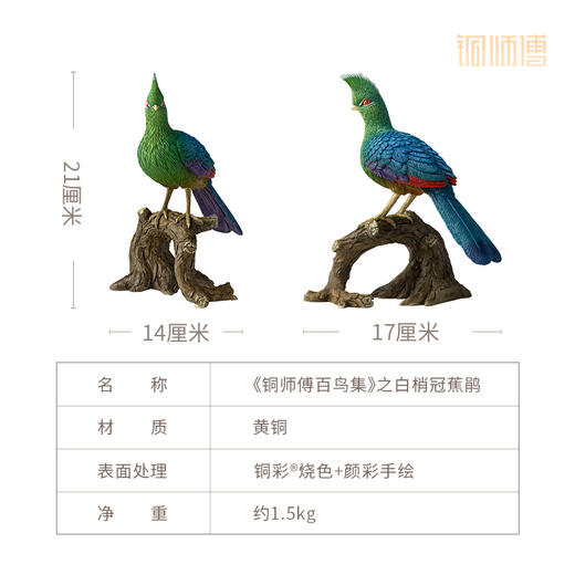 铜师傅 铜摆件《铜师傅百鸟集》之白梢冠蕉鹃 铜工艺品 家居饰品摆件 商品图6