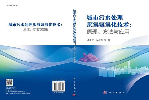 城市污水处理厌氧氨氧化技术：原理、方法与应用 商品图3