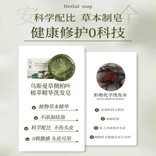 笙观·乌斯曼侧柏叶植萃精研洗发皂 植物本草 泡沫绵密 易冲易洗 温和不刺激 商品图3