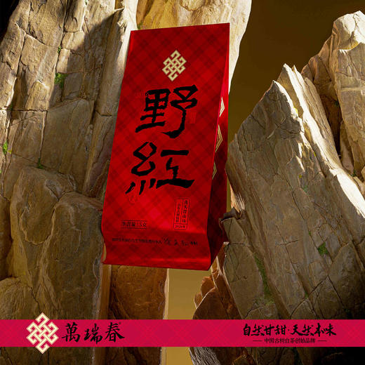 懂茶帝-万瑞春锦屏2026山野野红100g 商品图3