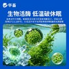 华畜藻类培养基小球藻专用培养基鱼塘水库水产养殖肥水调水培藻 商品缩略图6