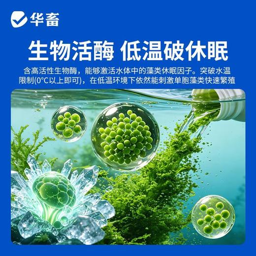 华畜藻类培养基小球藻专用培养基鱼塘水库水产养殖肥水调水培藻 商品图6