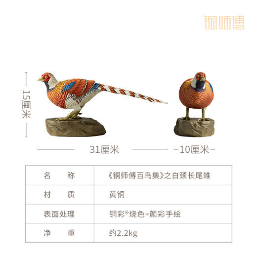 铜师傅 铜摆件《铜师傅百鸟集》之白颈长尾雉 商品图5